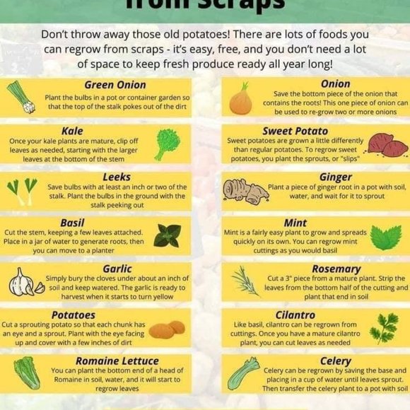 Meet your Posher, Lance   And I will do trades. - Picture 13 of 15